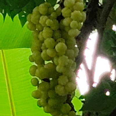 Верный шаг к лучшему! DODDAIAH . E ಬೆಂಗಳೂರು post image