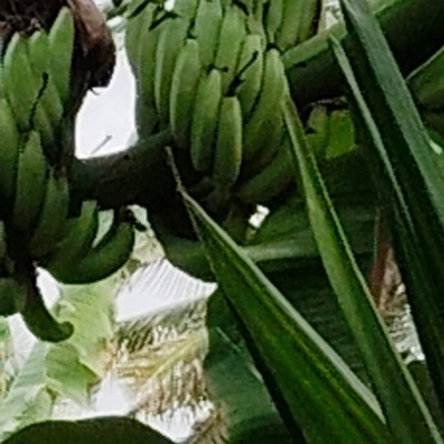 Amis de Karine-Azalaïs DODDAIAH . E ಬೆಂಗಳೂರು post image