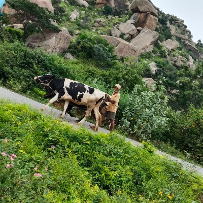 Под контролем DODDAIAH . E ಬೆಂಗಳೂರು post image