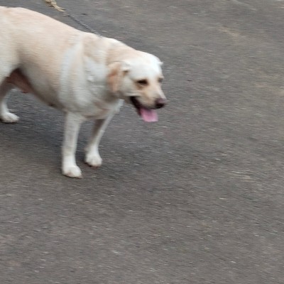 un pas devant l’autre DODDAIAH . E ಬೆಂಗಳೂರು post image