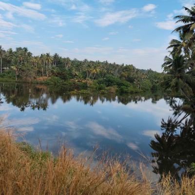 Pacers motivation DODDAIAH . E ಬΰ³ΰ²ΰ²ΰ²³ΰ³ΰ²°ΰ³ post image