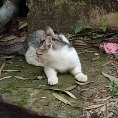 Will2bWell Walking Community🏃🏃 DODDAIAH . E ಬೆಂಗಳೂರು post image