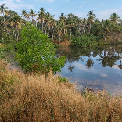 Pacers motivation DODDAIAH . E ಬΰ³ΰ²ΰ²ΰ²³ΰ³ΰ²°ΰ³ post image