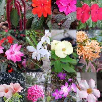 Ходим по окрестностям города. DODDAIAH . E ಬೆಂಗಳೂರು post image