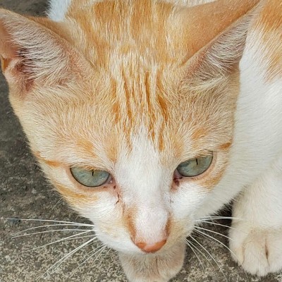 Ходим по окрестностям города. DODDAIAH . E ಬೆಂಗಳೂರು post image