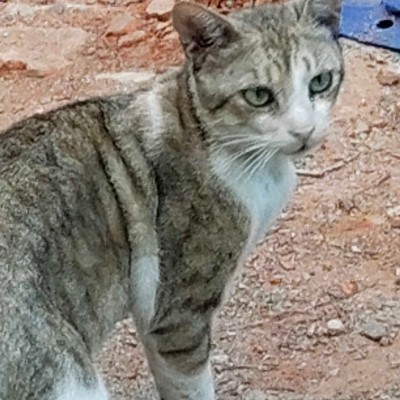 Ходим по окрестностям города. DODDAIAH . E ಬೆಂಗಳೂರು post image