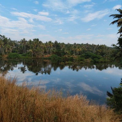 Pacers motivation DODDAIAH . E ಬΰ³ΰ²ΰ²ΰ²³ΰ³ΰ²°ΰ³ post image