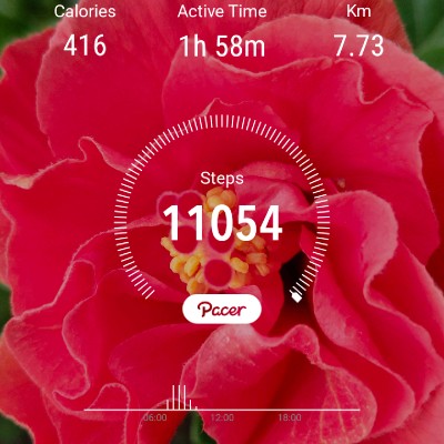 NATURE DODDAIAH . E ಬೆಂಗಳೂರು post image