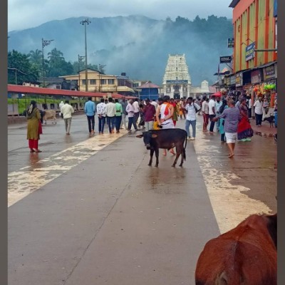 WE ARE AMAZING HUMANS π DODDAIAH . E ಬΰ³ΰ²ΰ²ΰ²³ΰ³ΰ²°ΰ³ post image