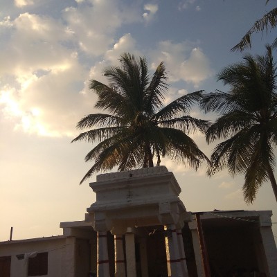 3 lbs a month down! DODDAIAH . E ಬೆಂಗಳೂರು post image