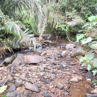 a caminho da saúde DODDAIAH . E ಬೆಂಗಳೂರು post image