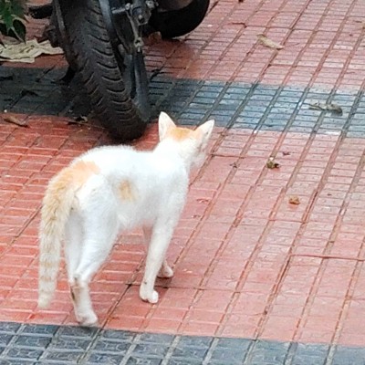 함께 즐겁고 기분좋게 운동해요~~^^🙋🏻‍♂️🤗 DODDAIAH . E ಬೆಂಗಳೂರು post image