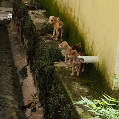 Luzern DODDAIAH . E ಬೆಂಗಳೂರು post image