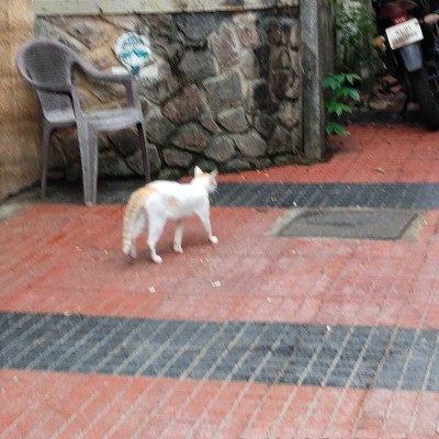 함께 즐겁고 기분좋게 운동해요~~^^🙋🏻‍♂️🤗 DODDAIAH . E ಬೆಂಗಳೂರು post image