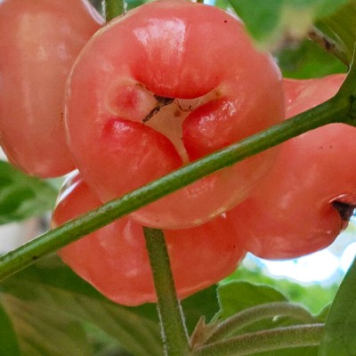 un pas devant l’autre DODDAIAH . E ಬೆಂಗಳೂರು post image