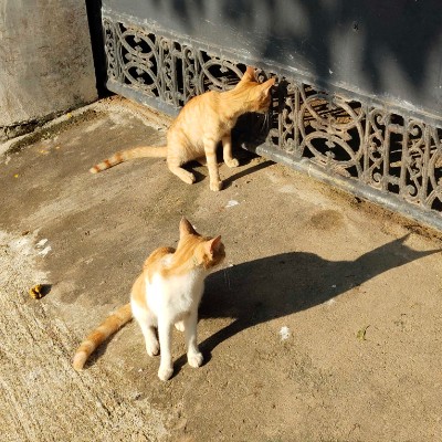 🇹🇼🇹🇼🇹🇼台灣墾丁萬步自由成💯💯💯 DODDAIAH . E ಬೆಂಗಳೂರು post image