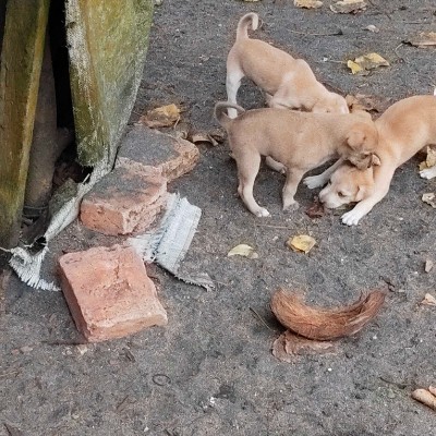 🧚‍♀️/ 🦊 /🐺/👸/😸/👩‍🌾 DODDAIAH . E ಬೆಂಗಳೂರು post image