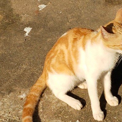 🇹🇼🇹🇼🇹🇼台灣墾丁萬步自由成💯💯💯 DODDAIAH . E ಬೆಂಗಳೂರು post image