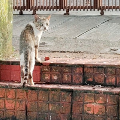 Self Motivated 🏃 DODDAIAH . E ಬೆಂಗಳೂರು post image