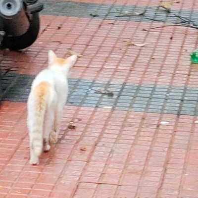 함께 즐겁고 기분좋게 운동해요~~^^🙋🏻‍♂️🤗 DODDAIAH . E ಬೆಂಗಳೂರು post image