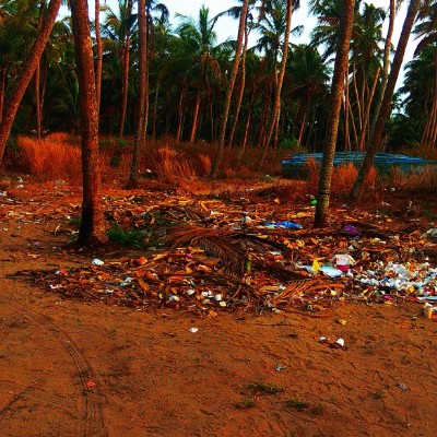 Bella Pacers DODDAIAH . E ಬೆಂಗಳೂರು post image