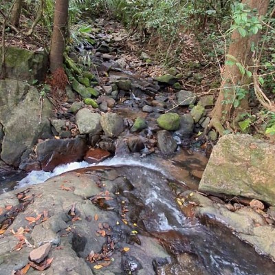 a caminho da saúde DODDAIAH . E ಬೆಂಗಳೂರು post image