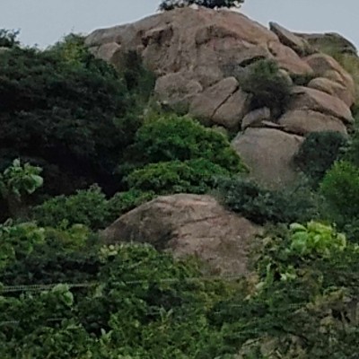 NATURE DODDAIAH . E ಬೆಂಗಳೂರು post image