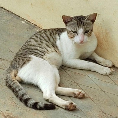 Luzern DODDAIAH . E ಬೆಂಗಳೂರು post image