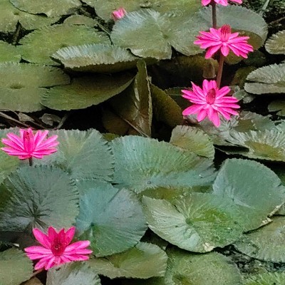 Punjabi-American Fitness Group DODDAIAH . E ಬೆಂಗಳೂರು post image