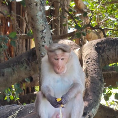 Walkaholic Devils 😈 DODDAIAH . E ಬೆಂಗಳೂರು post image