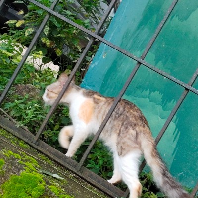 Self Motivated 🏃 DODDAIAH . E ಬೆಂಗಳೂರು post image