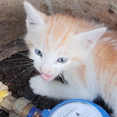 Luzern DODDAIAH . E ಬೆಂಗಳೂರು post image