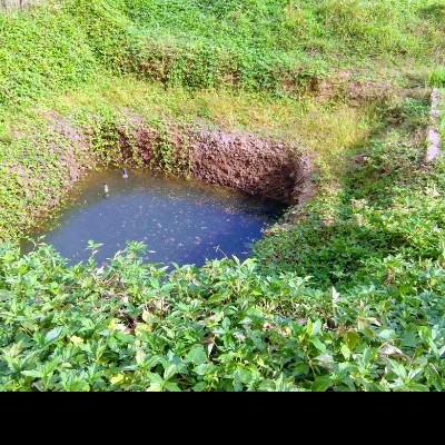 迎曦湖 DODDAIAH . E ಬೆಂಗಳೂರು post image