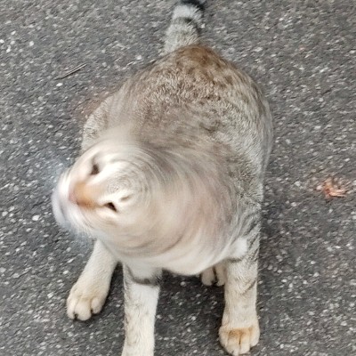 Bavarian City Walkers DODDAIAH . E ಬೆಂಗಳೂರು post image