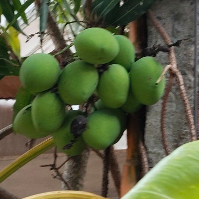 Naïma’s friends DODDAIAH . E ಬೆಂಗಳೂರು post image