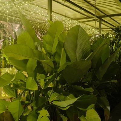 迎曦湖 DODDAIAH . E ಬೆಂಗಳೂರು post image