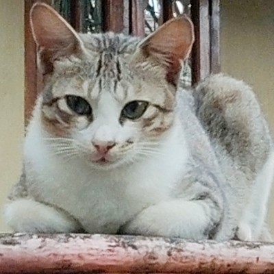 DELAVIVA DODDAIAH . E ಬೆಂಗಳೂರು post image