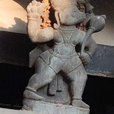 Rose,🍀🌹 🌹🌹🌹🌹🌹🌹 🌹 💁‍♀️ DODDAIAH . E ಬೆಂಗಳೂರು post image