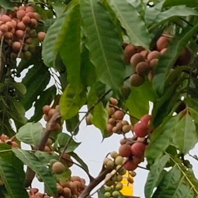 Luzern DODDAIAH . E ಬೆಂಗಳೂರು post image