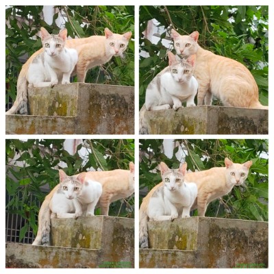 ๐ Daizy ๐ DODDAIAH . E เฒฌเณเฒเฒเฒณเณเฒฐเณ post image