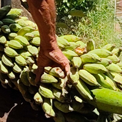 🖤❤️ Fearless Walkers 🖤❤️ DODDAIAH . E ಬೆಂಗಳೂರು post image