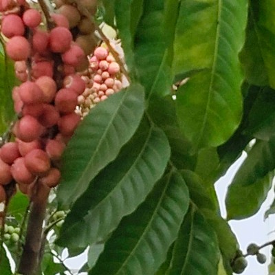 Luzern DODDAIAH . E ಬೆಂಗಳೂರು post image