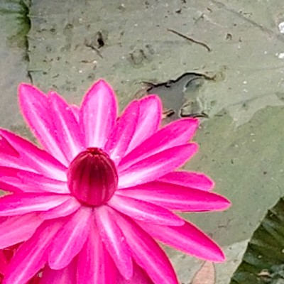 DELAVIVA DODDAIAH . E ಬೆಂಗಳೂರು post image