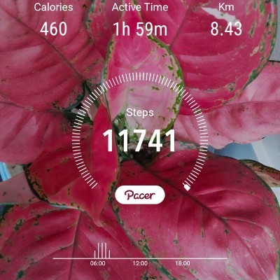 🇹🇼🇹🇼🇹🇼台灣墾丁萬步自由成💯💯💯 DODDAIAH . E ಬೆಂಗಳೂರು post image