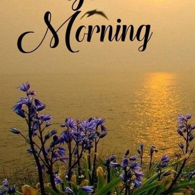 Stay Safe Stay 🏠 🏃‍♀️ DODDAIAH . E ಬೆಂಗಳೂರು post image