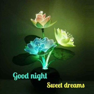 Weight Loss Group DODDAIAH . E ಬೆಂಗಳೂರು post image