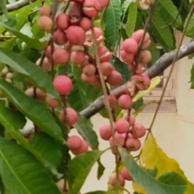 Luzern DODDAIAH . E ಬೆಂಗಳೂರು post image