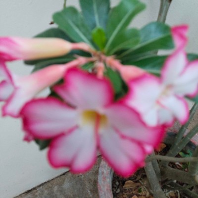 🇹🇼🇹🇼🇹🇼台灣墾丁萬步自由成💯💯💯 DODDAIAH . E ಬೆಂಗಳೂರು post image