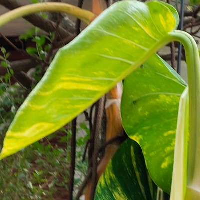 함께 즐겁고 기분좋게 운동해요~~^^🙋🏻‍♂️🤗 DODDAIAH . E ಬೆಂಗಳೂರು post image