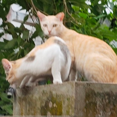 ๐ Daizy ๐ DODDAIAH . E เฒฌเณเฒเฒเฒณเณเฒฐเณ post image